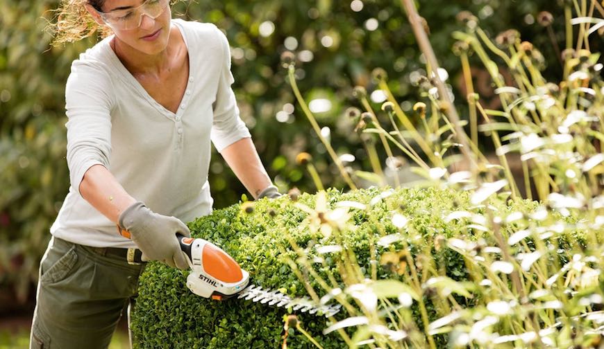 Stihl sculpte haies à batterie